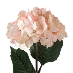 Promo ⭐ 12 Pack: Peach Pink Hydrangea Stem by Ashland® ⭐ -Ashlandty Shop MP461651 20