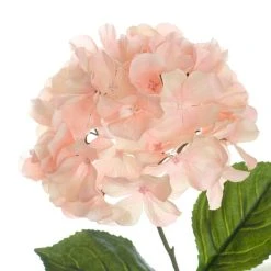 Promo ⭐ 12 Pack: Peach Pink Hydrangea Stem by Ashland® ⭐ -Ashlandty Shop MP461651 3