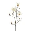 Best Sale 🎉 12 Pack: White Magnolia Branch Spray by Ashland® 🔔 -Ashlandty Shop MP468846 1
