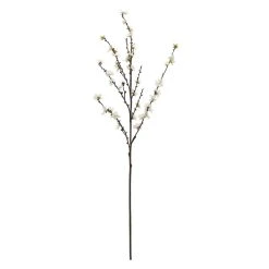 Buy ❤️ 12 Pack: Cream Peach Blossom Stem by Ashland® 💯