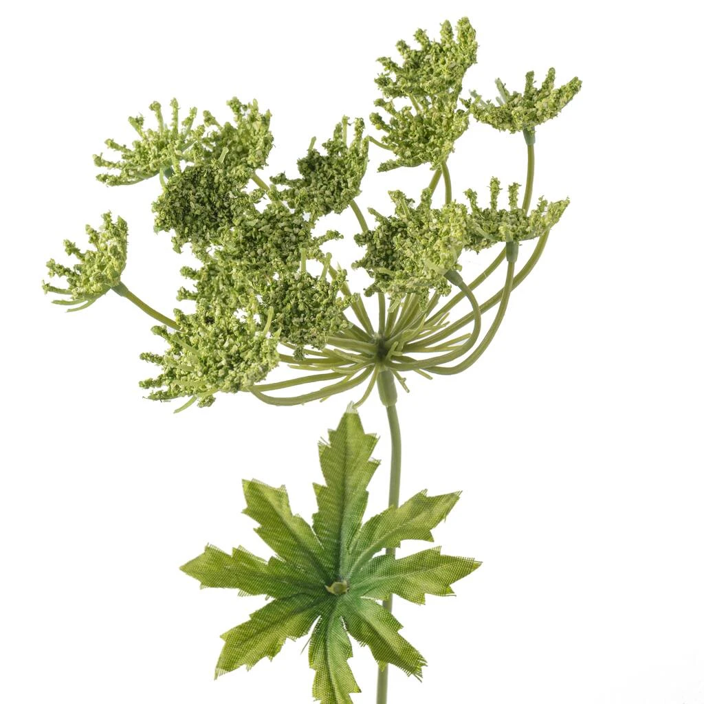 New π 12 Pack: Light Green Queen Anne's Lace Spray by Ashland® π 6 New π 12 Pack: Light Green Queen Anne's Lace Spray by Ashland® π - Image 4