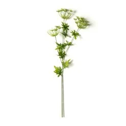 New π 12 Pack: Light Green Queen Anne's Lace Spray by Ashland® π 8 New π 12 Pack: Light Green Queen Anne's Lace Spray by Ashland® π -Ashlandty Shop MP501462 21
