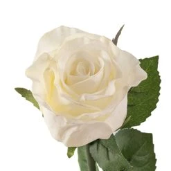 Best reviews of ✔️ 12 Pack: White Faux Rose by Ashland® ✨ -Ashlandty Shop MP501466 20