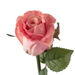 Best reviews of π 12 Pack: Light Pink Faux Rose by Ashland® π 9 Best reviews of π 12 Pack: Light Pink Faux Rose by Ashland® π -Ashlandty Shop MP501467 20