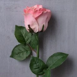 Best reviews of π 12 Pack: Light Pink Faux Rose by Ashland® π 8 Best reviews of π 12 Pack: Light Pink Faux Rose by Ashland® π -Ashlandty Shop MP501467 22