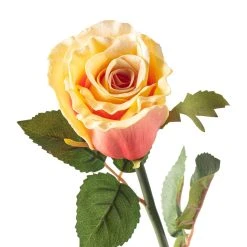 Cheapest π 12 Pack: Coral Faux Rose by Ashland® β¨ 7 Cheapest π 12 Pack: Coral Faux Rose by Ashland® β¨ -Ashlandty Shop MP501469 20