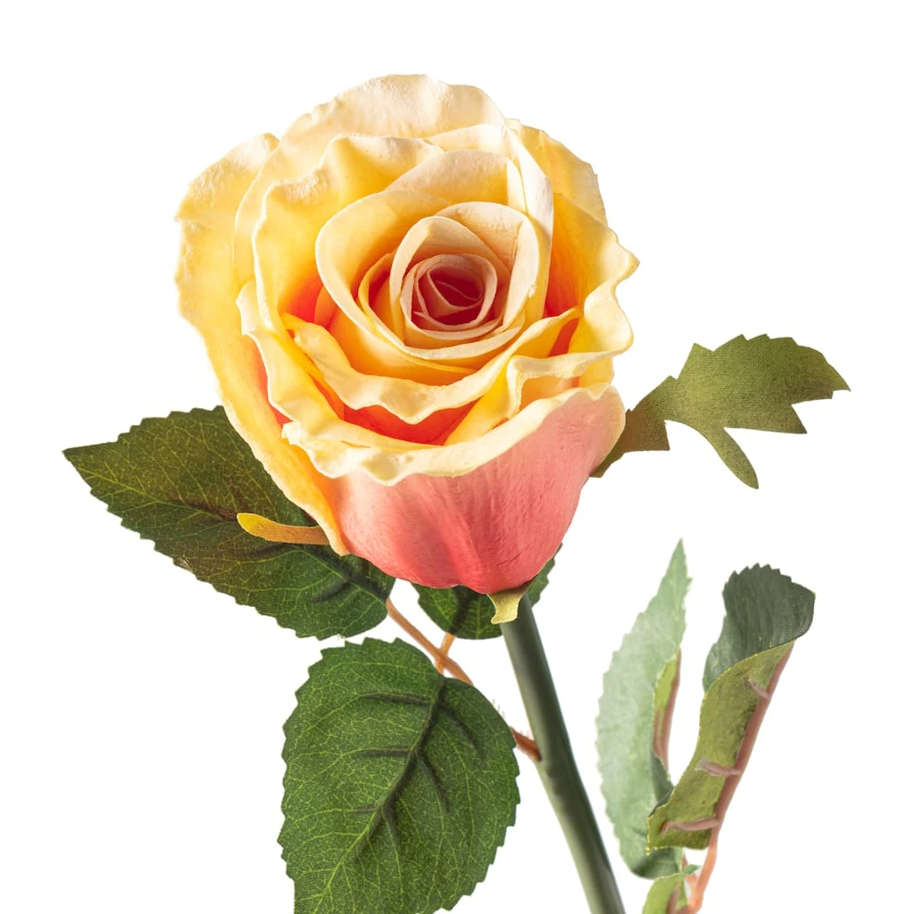 Cheapest π 12 Pack: Coral Faux Rose by Ashland® β¨ 4 Cheapest π 12 Pack: Coral Faux Rose by Ashland® β¨ - Image 2