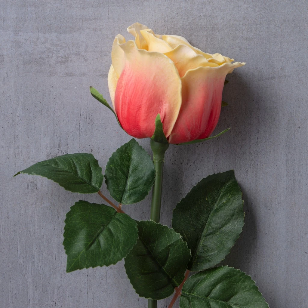 Cheapest π 12 Pack: Coral Faux Rose by Ashland® β¨ 5 Cheapest π 12 Pack: Coral Faux Rose by Ashland® β¨ - Image 3