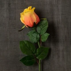 Wholesale ⭐ 12 Pack: Peach Faux Rose by Ashland® 😉 -Ashlandty Shop MP501471 25