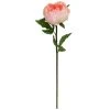 Wholesale ๐ 12 Pack: Pink King Peony Stem by Ashland® โ๏ธ 2 Wholesale ๐ 12 Pack: Pink King Peony Stem by Ashland® โ๏ธ -Ashlandty Shop MP501481 1