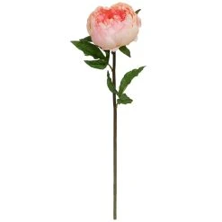 Wholesale 👍 12 Pack: Pink King Peony Stem by Ashland® ✔️