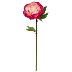 Best reviews of ⌛ 12 Pack: Fuchsia King Peony Stem by Ashland® 🔥