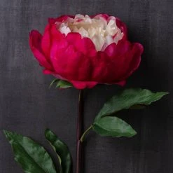 Best reviews of ⌛ 12 Pack: Fuchsia King Peony Stem by Ashland® 🔥 -Ashlandty Shop MP501483 22