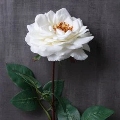 Cheapest π 12 Pack: White Orlane Rose Stem by Ashland® β 9 Cheapest π 12 Pack: White Orlane Rose Stem by Ashland® β -Ashlandty Shop MP501485 22