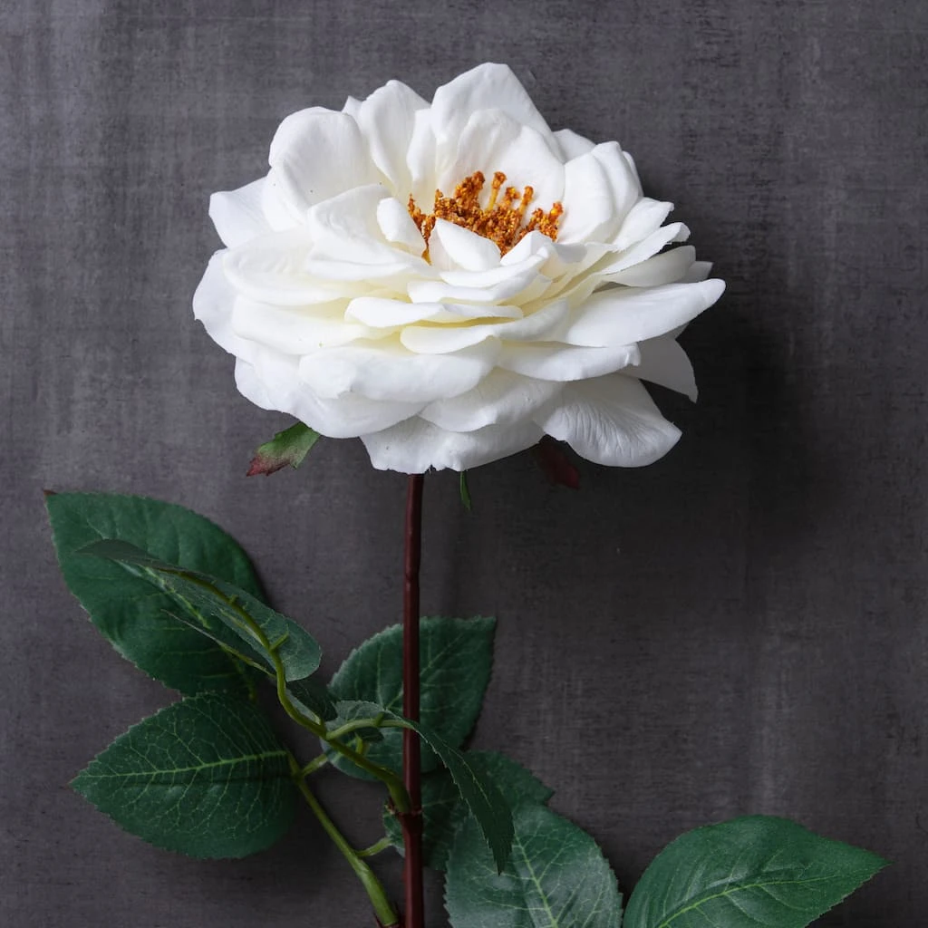 Cheapest π 12 Pack: White Orlane Rose Stem by Ashland® β 6 Cheapest π 12 Pack: White Orlane Rose Stem by Ashland® β - Image 4