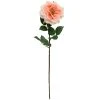 Flash Sale 😀 12 Pack: Coral Orlane Rose Stem by Ashland® ❤️ -Ashlandty Shop MP501486 1
