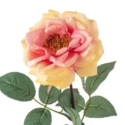 Flash Sale 😀 12 Pack: Coral Orlane Rose Stem by Ashland® ❤️ -Ashlandty Shop MP501486 20