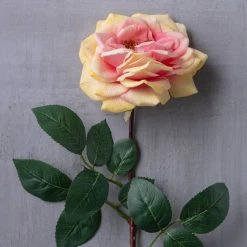 Flash Sale 😀 12 Pack: Coral Orlane Rose Stem by Ashland® ❤️ -Ashlandty Shop MP501486 22