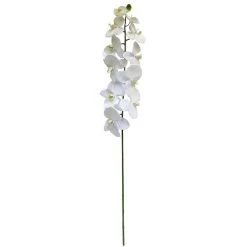 Budget ❤️ 8 Pack: White Orchid Stem by Ashland® 🥰
