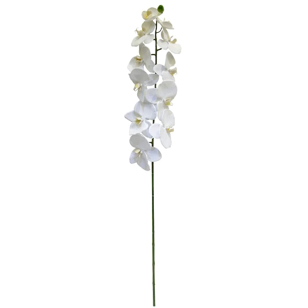Budget ❤️ 8 Pack: White Orchid Stem by Ashland® 🥰 3 Budget ❤️ 8 Pack: White Orchid Stem by Ashland® 🥰