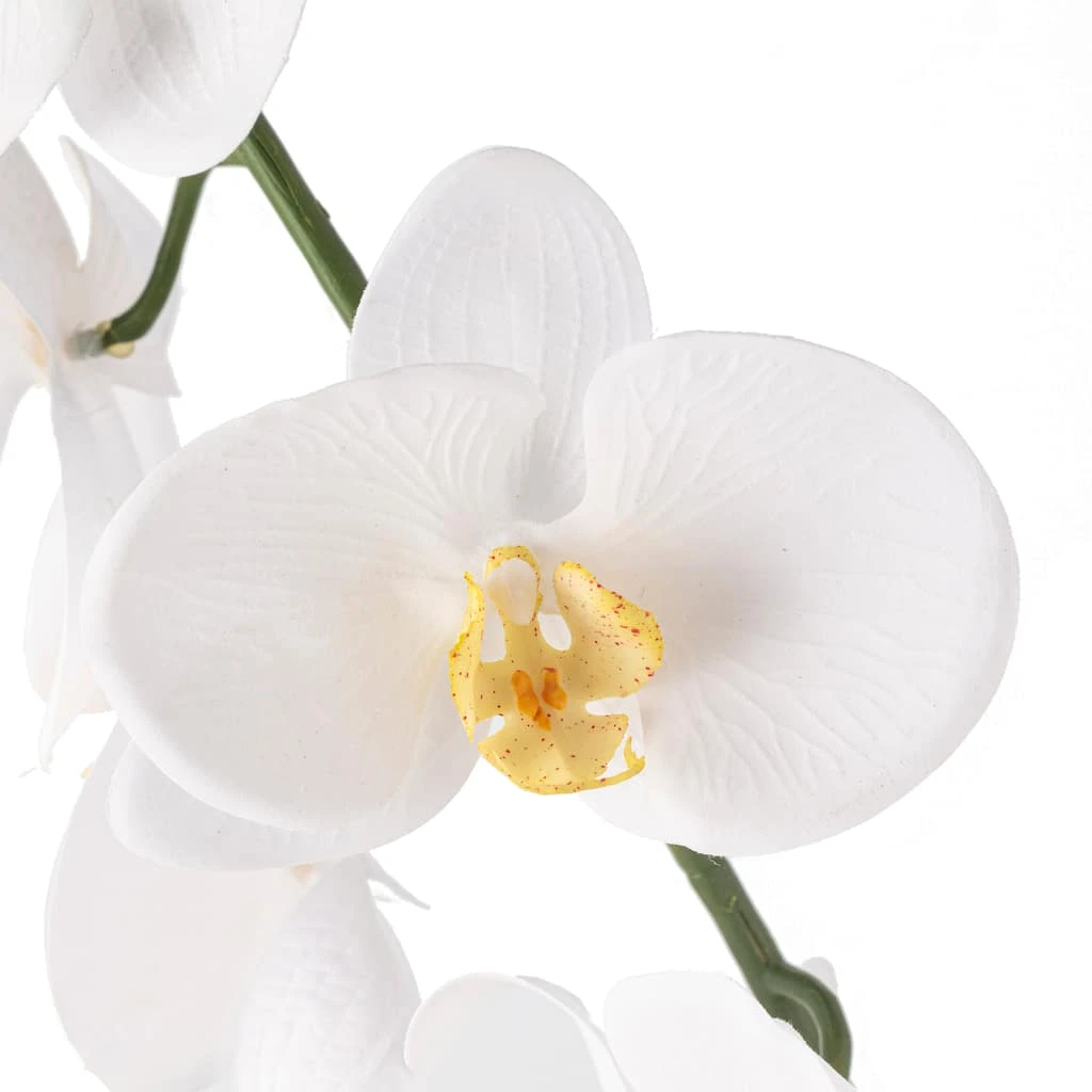 Budget ❤️ 8 Pack: White Orchid Stem by Ashland® 🥰 5 Budget ❤️ 8 Pack: White Orchid Stem by Ashland® 🥰 - Image 3