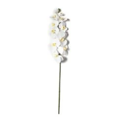 Budget ❤️ 8 Pack: White Orchid Stem by Ashland® 🥰 9 Budget ❤️ 8 Pack: White Orchid Stem by Ashland® 🥰 -Ashlandty Shop MP501488 21