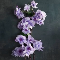 Best reviews of 😉 12 Pack: Lavender Apple Blossom Spray by Ashland® 🥰 -Ashlandty Shop MP501499 20