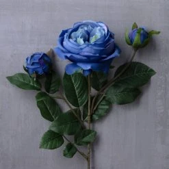 Budget ❤️ 12 Pack: Blue English Rose Stem by Ashland® ✨ -Ashlandty Shop MP501503 22