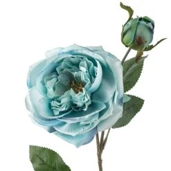Coupon ⌛ 12 Pack: Teal English Rose Stem by Ashland® 👏 -Ashlandty Shop MP501506 20