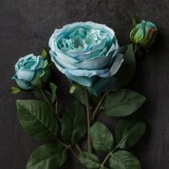 Coupon ⌛ 12 Pack: Teal English Rose Stem by Ashland® 👏 -Ashlandty Shop MP501506 22
