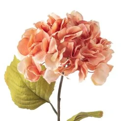 Outlet ⌛ 12 Pack: Coral Two-Toned Hydrangea Steam by Ashland® ⭐ -Ashlandty Shop MP501508 20