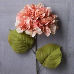 Outlet ⌛ 12 Pack: Coral Two-Toned Hydrangea Steam by Ashland® ⭐ -Ashlandty Shop MP501508 22