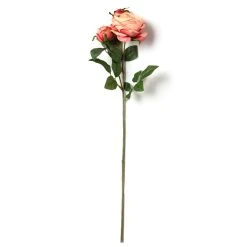 Best Sale ❤️ 12 Pack: Pink Coral English Rose Stem by Ashland® 😉 -Ashlandty Shop MP501509 21
