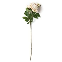 Outlet ❤️ 12 Pack: Toast English Rose Stem by Ashland® 👍 -Ashlandty Shop MP501510 21