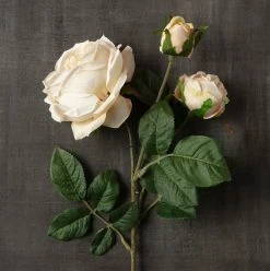 Outlet ❤️ 12 Pack: Toast English Rose Stem by Ashland® 👍 -Ashlandty Shop MP501510 25