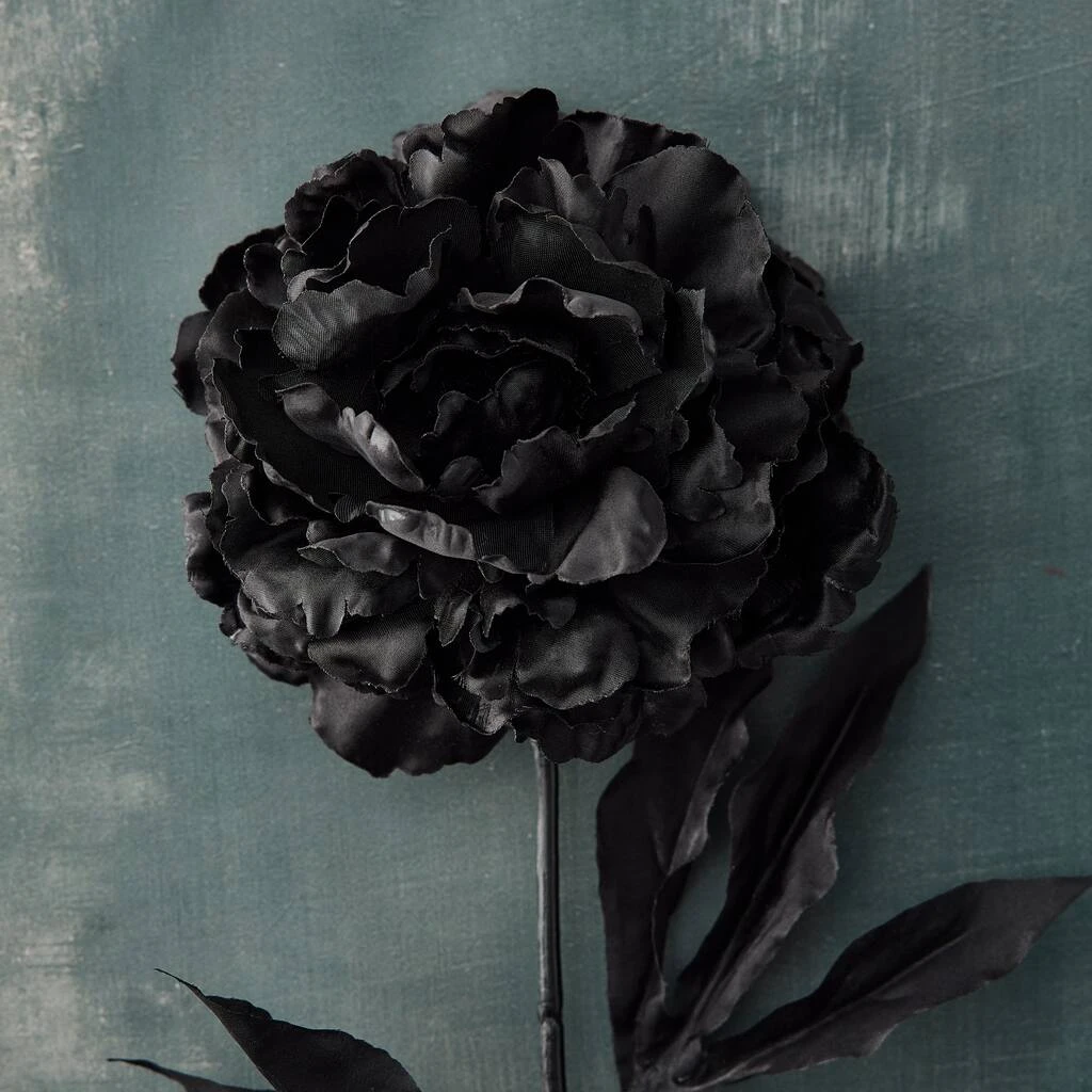 New β 12 Pack: Black Peony Stem by Ashland® π₯° 4 New β 12 Pack: Black Peony Stem by Ashland® π₯° - Image 2