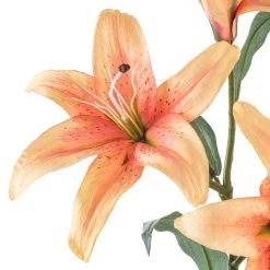 Best reviews of 🎁 12 Pack: Flame Casablanca Lily Stem by Ashland® ❤️ -Ashlandty Shop MP501957 20