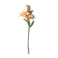 Best reviews of 🎁 12 Pack: Flame Casablanca Lily Stem by Ashland® ❤️ -Ashlandty Shop MP501957 21