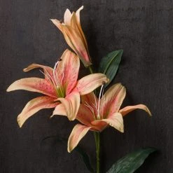 Best reviews of 🎁 12 Pack: Flame Casablanca Lily Stem by Ashland® ❤️ -Ashlandty Shop MP501957 22