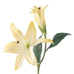 Best Pirce 😍 12 Pack: White Casablanca Lily Stem by Ashland® 🔥 -Ashlandty Shop MP501958 20