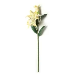 Best Pirce 😍 12 Pack: White Casablanca Lily Stem by Ashland® 🔥 -Ashlandty Shop MP501958 21