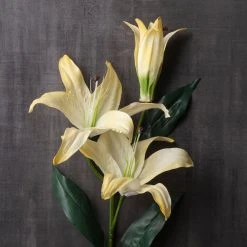 Best Pirce 😍 12 Pack: White Casablanca Lily Stem by Ashland® 🔥 -Ashlandty Shop MP501958 22