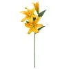 Cheap ❤️ 12 Pack: Yellow Casablanca Lily Stem by Ashland® ⭐ -Ashlandty Shop MP501959 1