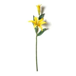 Cheap ❤️ 12 Pack: Yellow Casablanca Lily Stem by Ashland® ⭐ -Ashlandty Shop MP501959 21