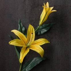 Cheap ❤️ 12 Pack: Yellow Casablanca Lily Stem by Ashland® ⭐ -Ashlandty Shop MP501959 22