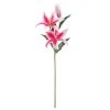 Budget 🥰 12 Pack: Hot Pink Casablanca Lily Stem by Ashland® 😀