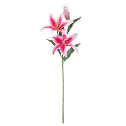 Budget 🥰 12 Pack: Hot Pink Casablanca Lily Stem by Ashland® 😀