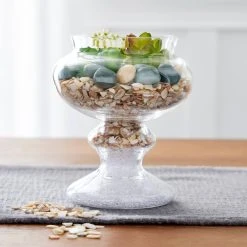 Flash Sale β 8 Pack: Natural Crushed Shells By Ashland™ π 6 Flash Sale β 8 Pack: Natural Crushed Shells By Ashland™ π -Ashlandty Shop MP523487 20