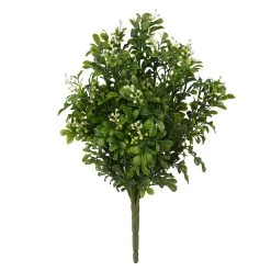 Buy 🧨 9 Pack: Boxwood & Berry Bush by Ashland® ⭐
