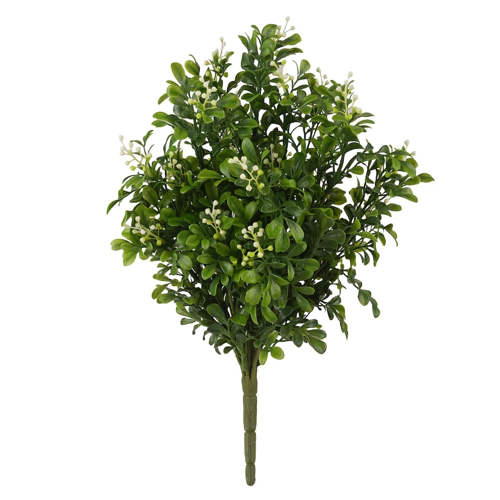 Buy 🧨 9 Pack: Boxwood & Berry Bush by Ashland® ⭐ 3 Buy 🧨 9 Pack: Boxwood & Berry Bush by Ashland® ⭐